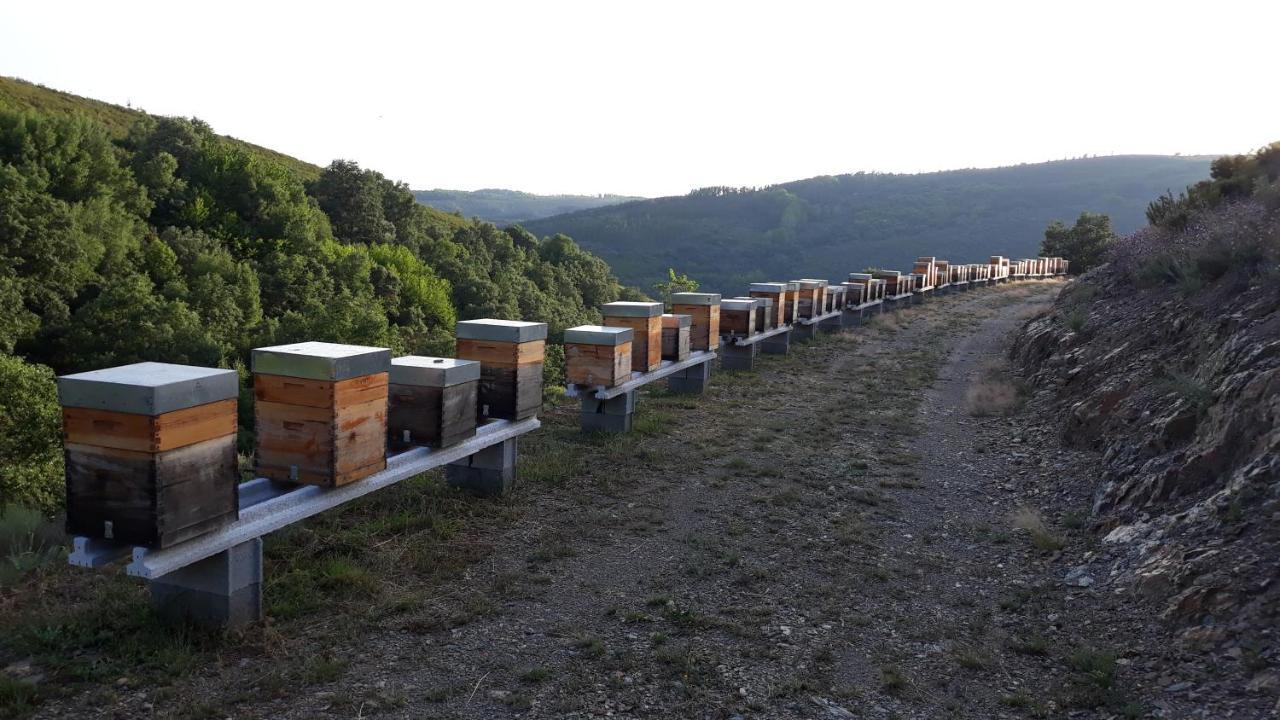 Apimonte City House A Bragança Kültér fotó